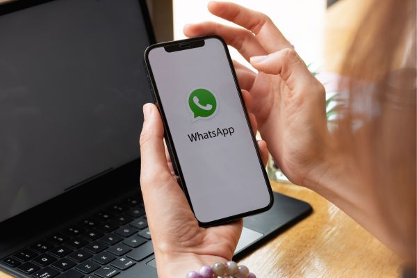 chatbot whatsapp gratis